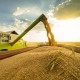 Європейські сусіди заблокували імпорт української агропродукції. Як це вплине на українську економіку та бізнес? /Фото Shutterstock